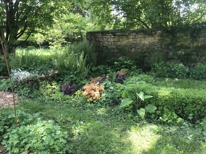 Visite du parc et du jardin du château de Clavy Warby Parc du château