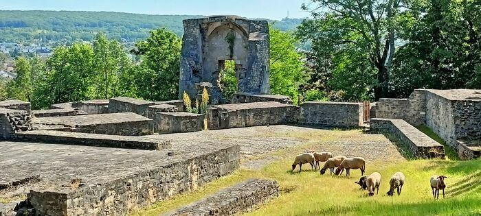 Visite guidée complète de la Forteresse Forteresse de Montrond Saint