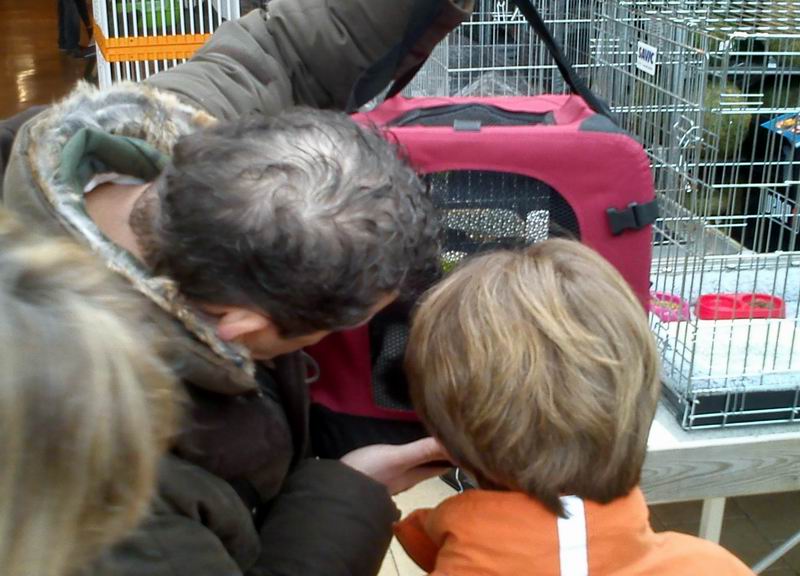 Le plus beau moment : L'Adoption