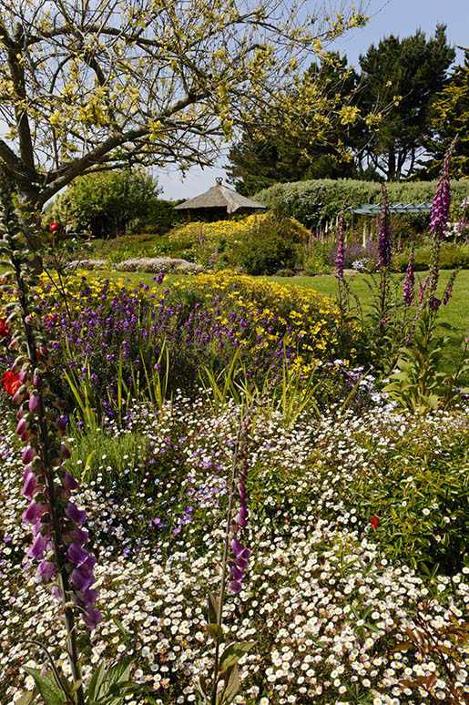 Le jardin Eden du voyageur ou Belle-Île par Michel Damblant