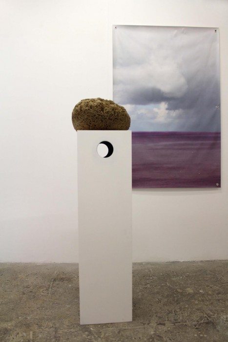 éponge clinamen francis raynaud