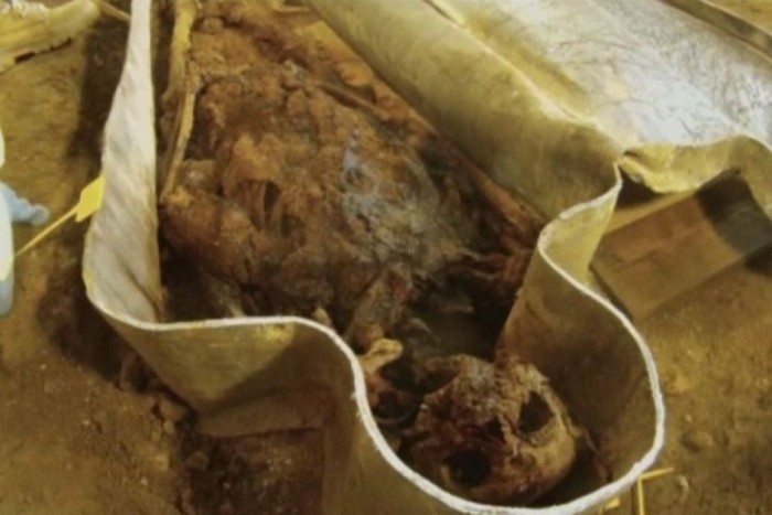 louise de quengo rennes