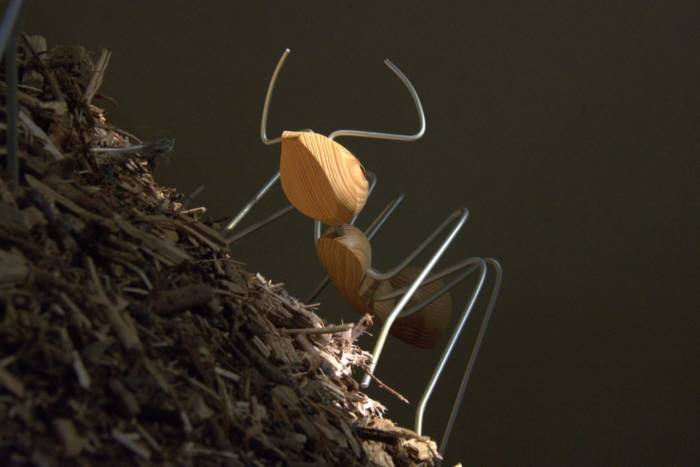 exposition INsect'INside Marc georgeault 3CHA Chateaugiron