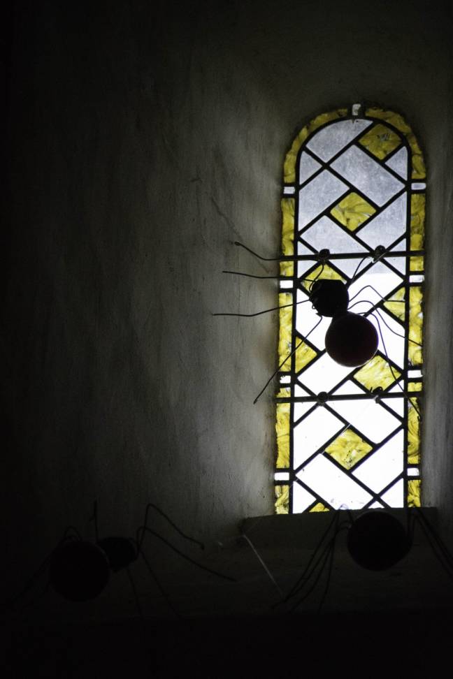 exposition INsect'INside Marc Georgeault  les 3CHA Chateaugiron