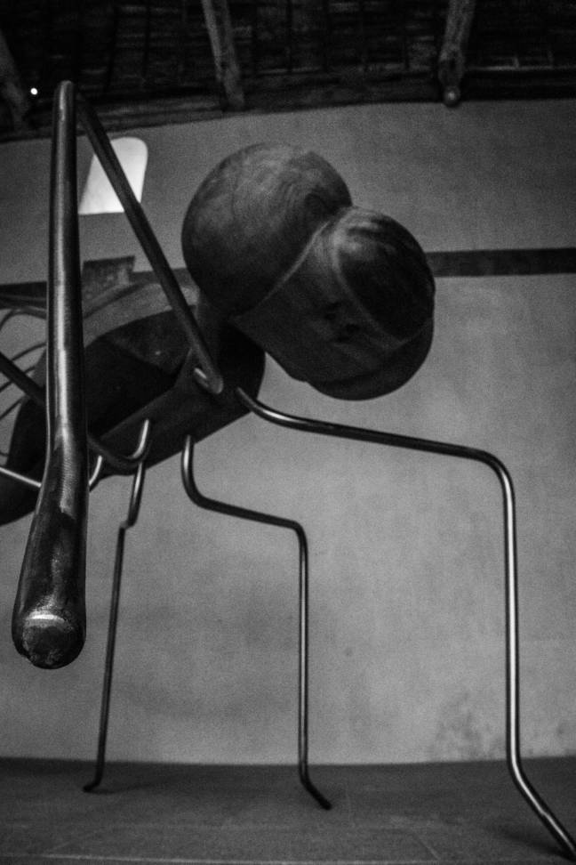 exposition INsect'INside Marc Georgeault 3 CHA Chateaugiron