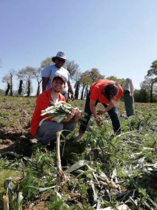 LE GLANAGE SOLIDAIRE EN LICE POUR MON PROJET POUR LA PLANÈTE