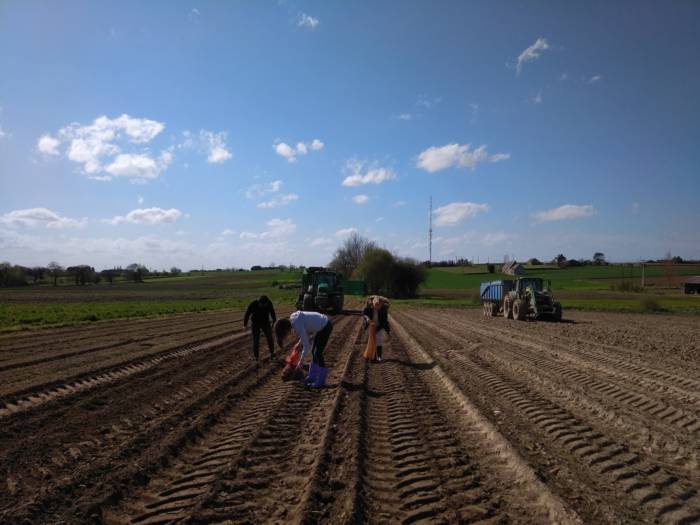 LE GLANAGE SOLIDAIRE EN LICE POUR MON PROJET POUR LA PLANÈTE