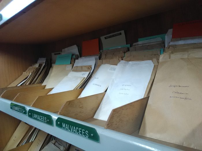 150 ans du parc thabor rennes