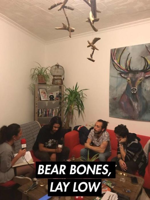Bear Bones Lay Low