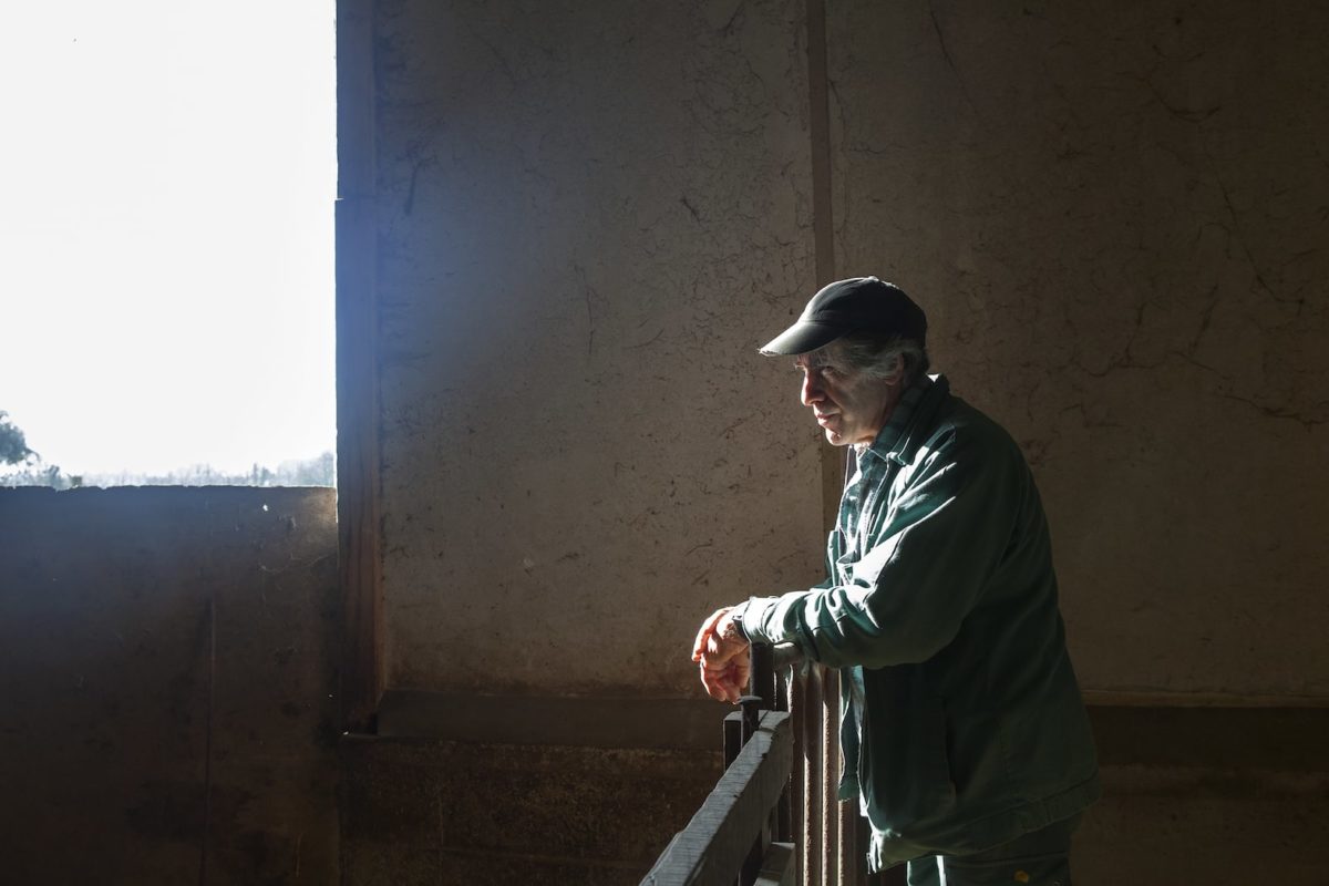 vies modestes vies épatantes le grand cordel