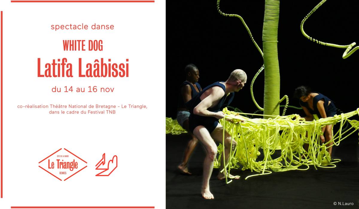 white dog latifa laabissi