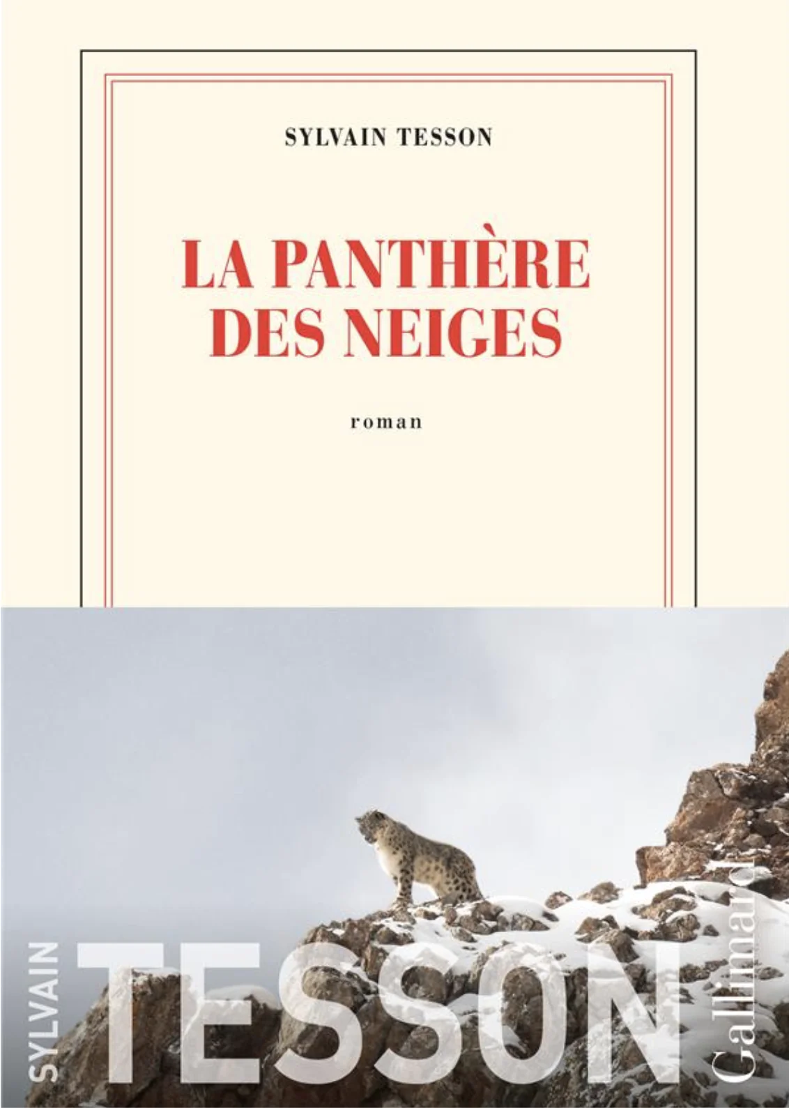 La panthère des neiges 