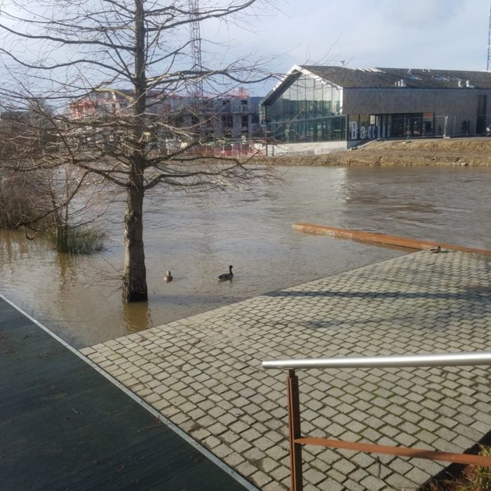 JARDIN CONFLUENCE RENNES