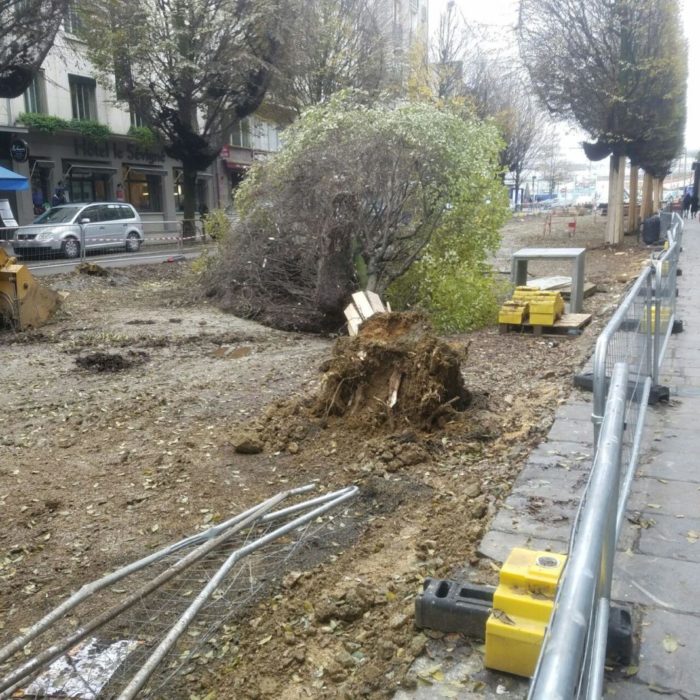 NICHOIRS CITOYENS RENNES