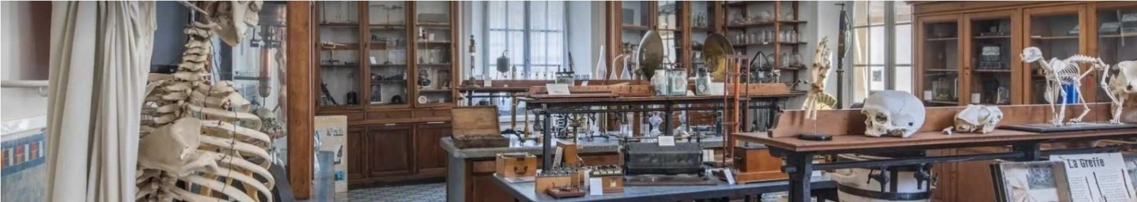 lycee emile zola rennes