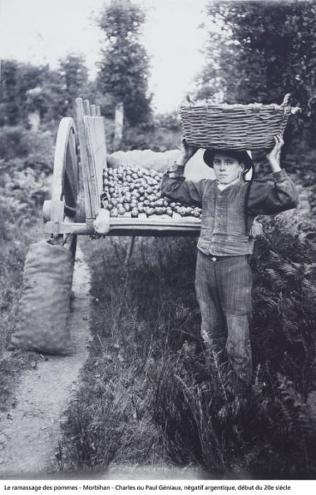 AGRICULTURE BRETAGNE