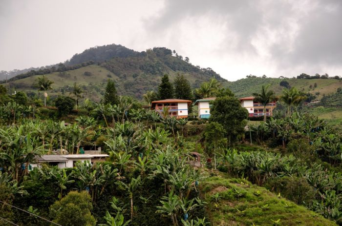 Finca colombienne