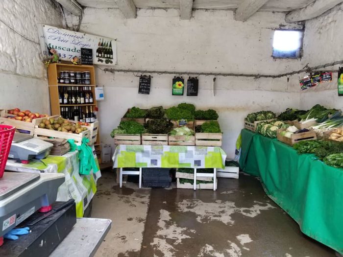 BOUGERIE SAINT GREGOIRE