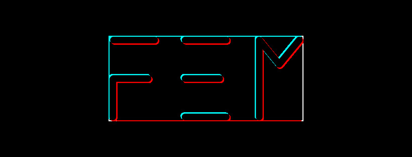 F.E.M