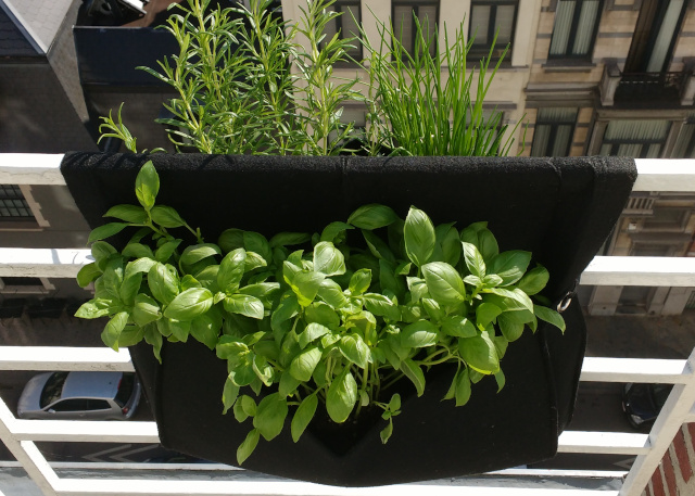 KIT DE JARDINAGE MON PETIT COIN VERT