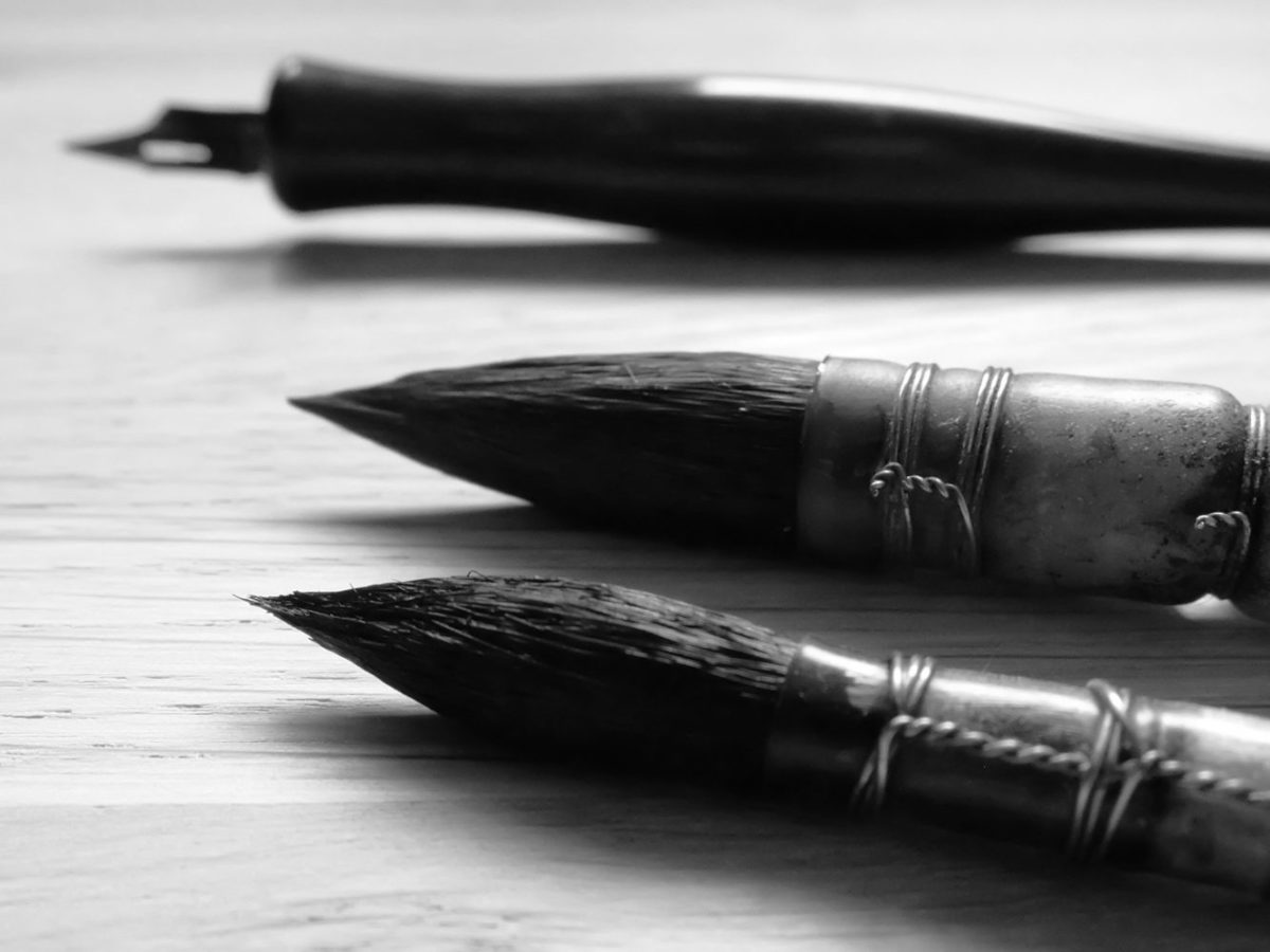 dessin illustration Kalon Sardin douarnenez