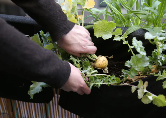 KIT DE JARDINAGE MON PETIT COIN VERT