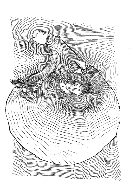 cartes à jouer du corps seneca