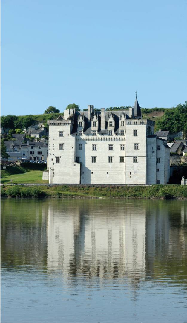 Chateau de Montsoreau