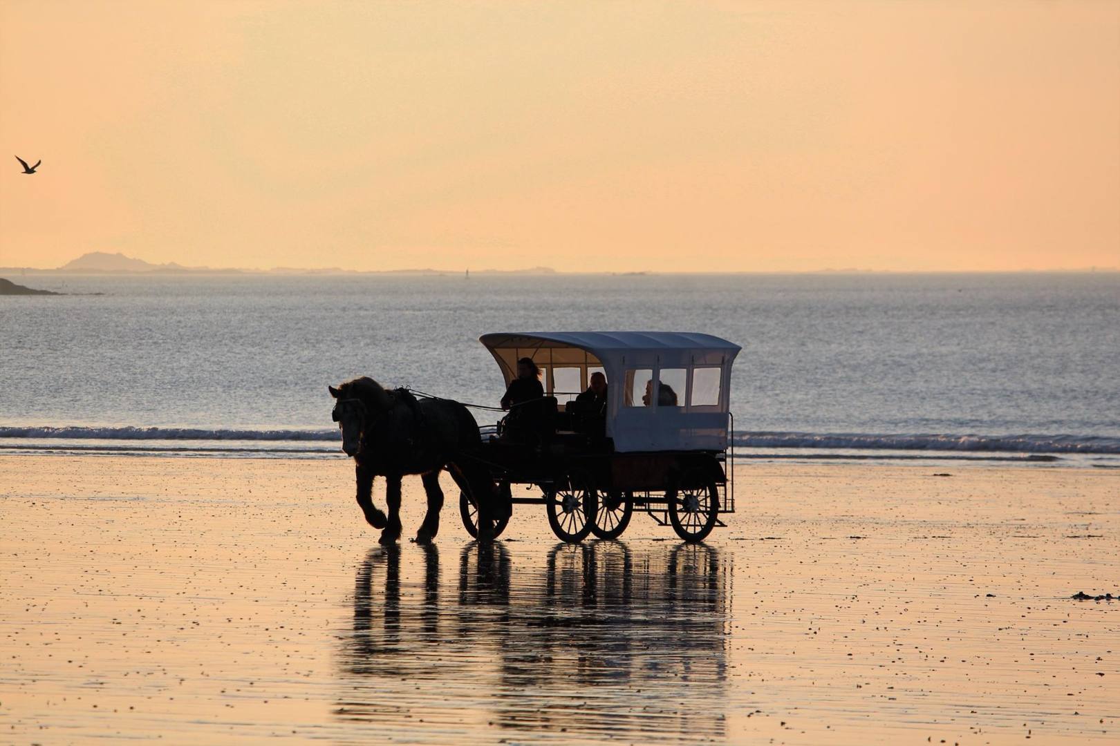 CHEVAUX DE LA MER