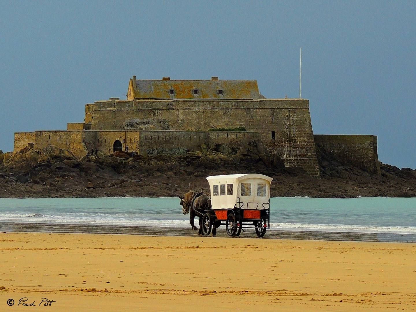 CHEVAUX DE LA MER