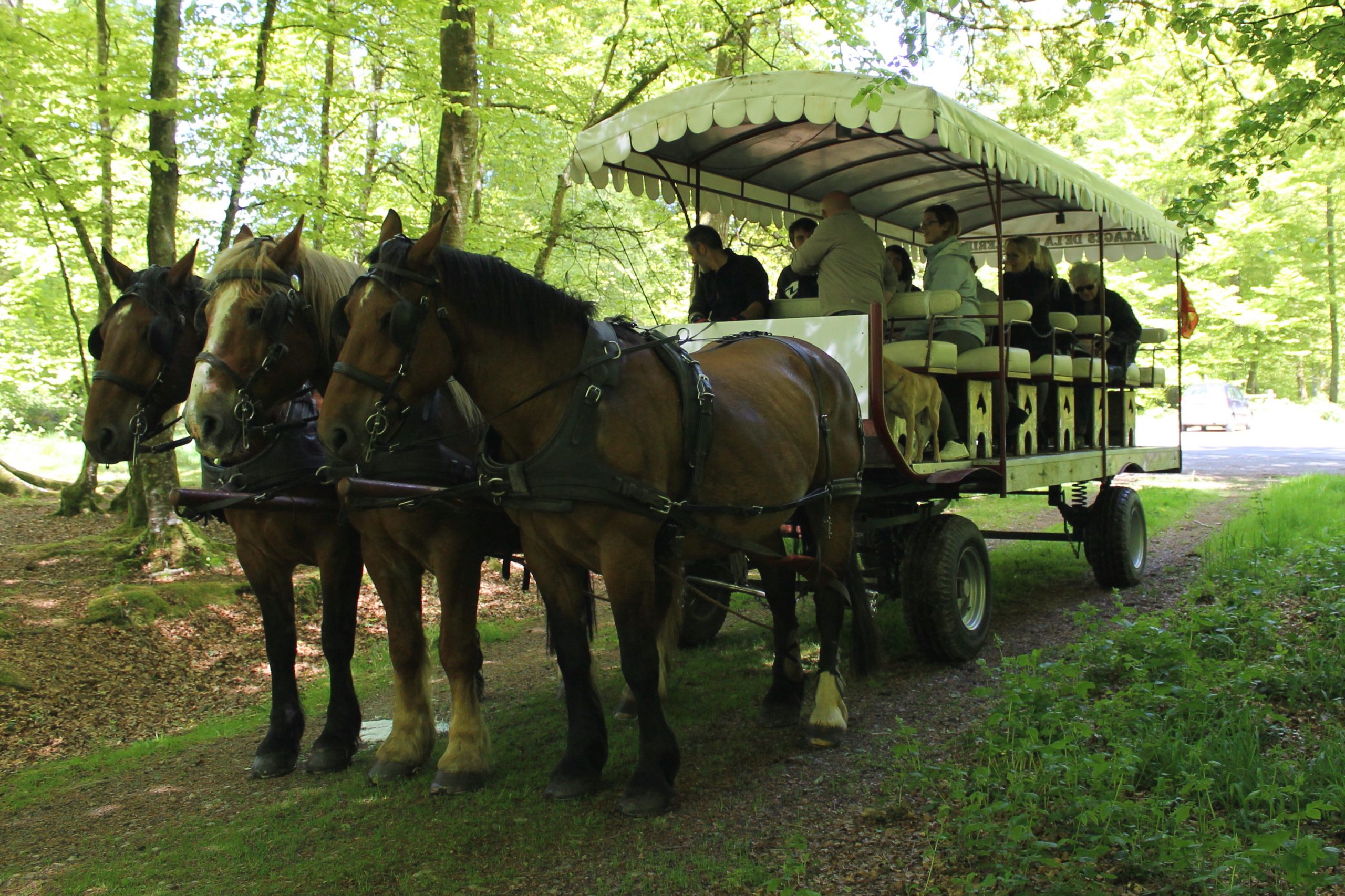 rencontre foret de balleroy