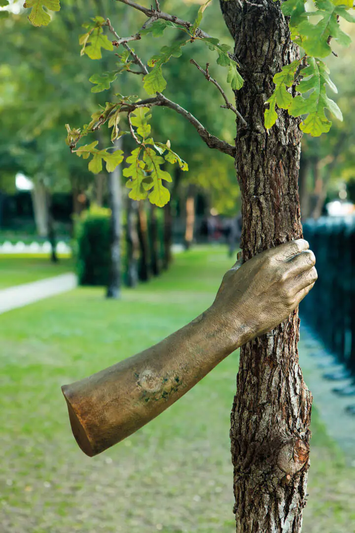 giuseppe penone main arbre