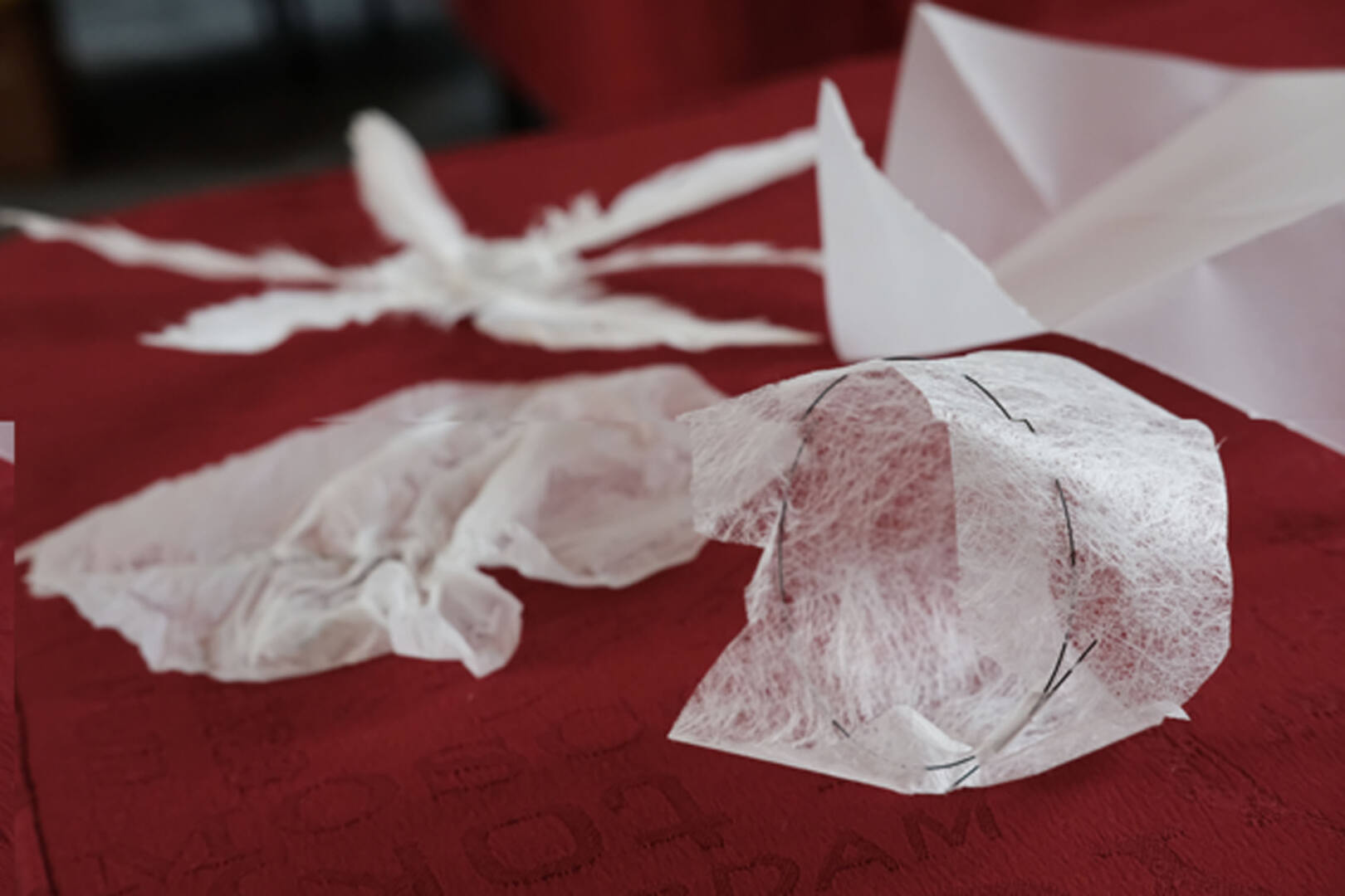 aplanatarium johann le guillerm tdn 2021