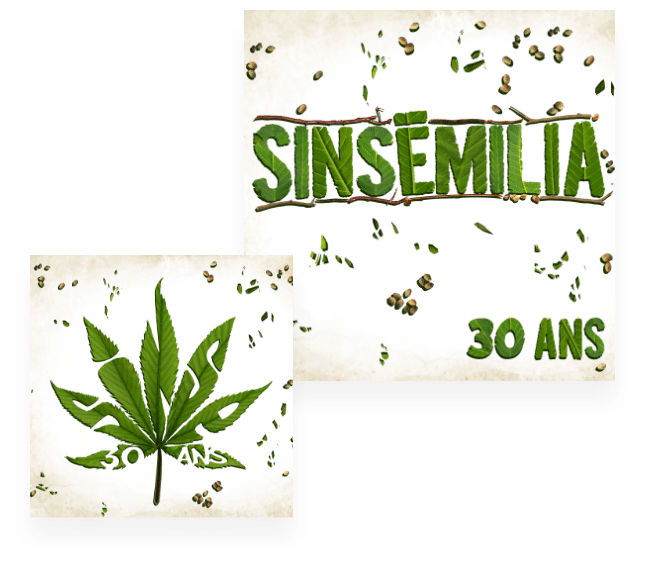 sinsemilia album trente ans