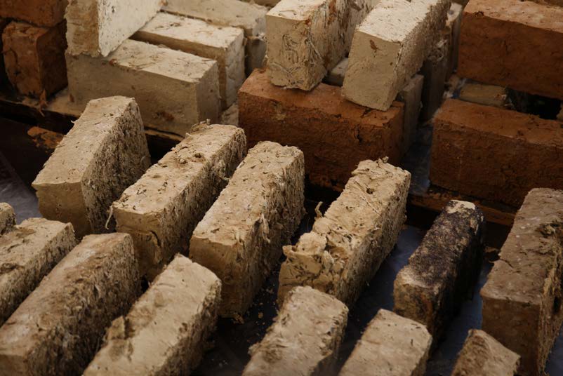 elvia teotski la criée rennes