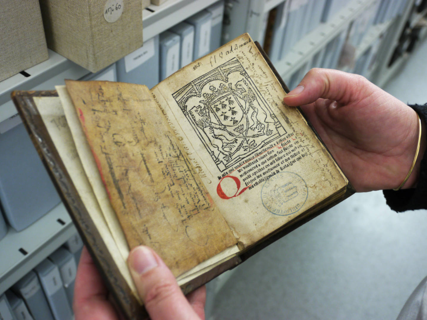 collections bibliothèque champs libres