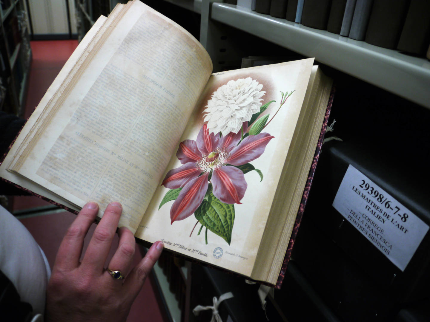 fonds patrimoniaux champs libres rennes