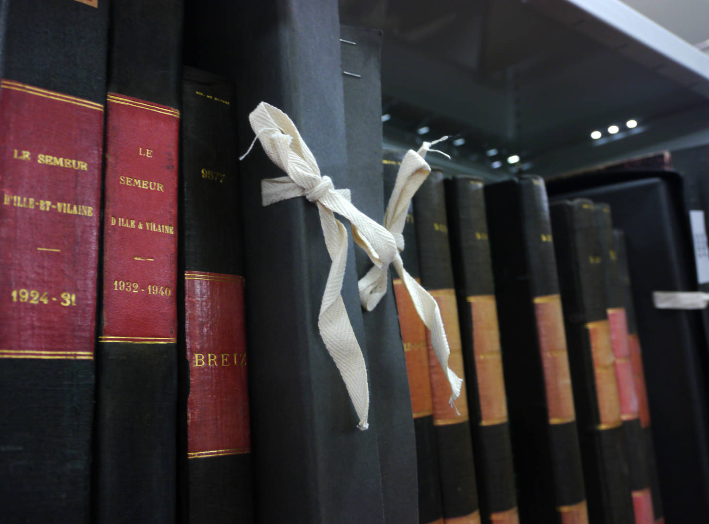 bibliothèque des champs libres collections rennes