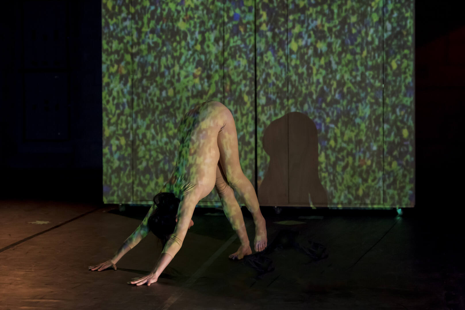 victorine danse le triangle rennes