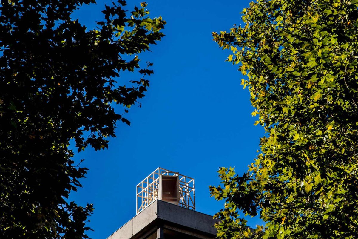 les veilleurs rennes