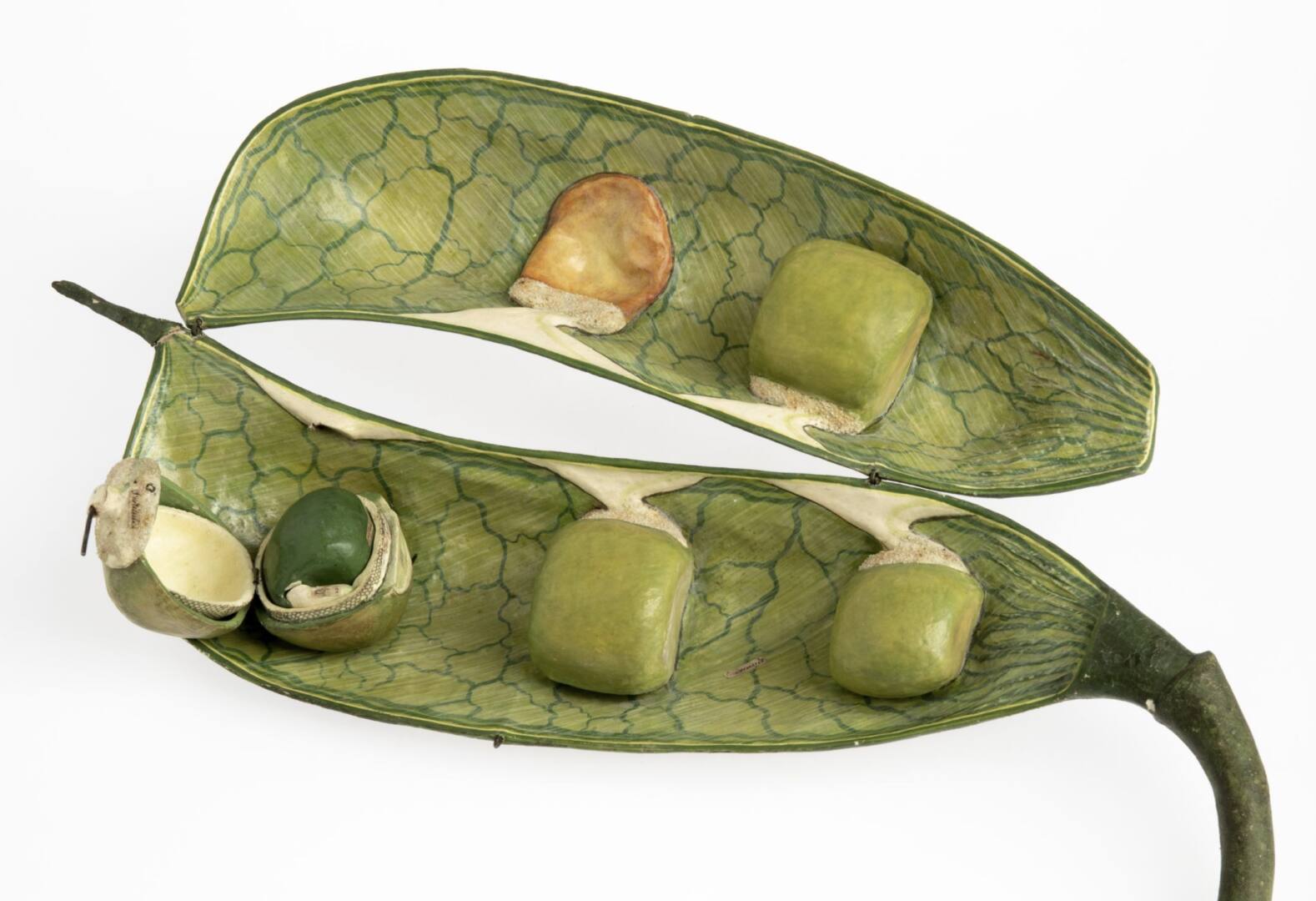 expo bintinais rennes