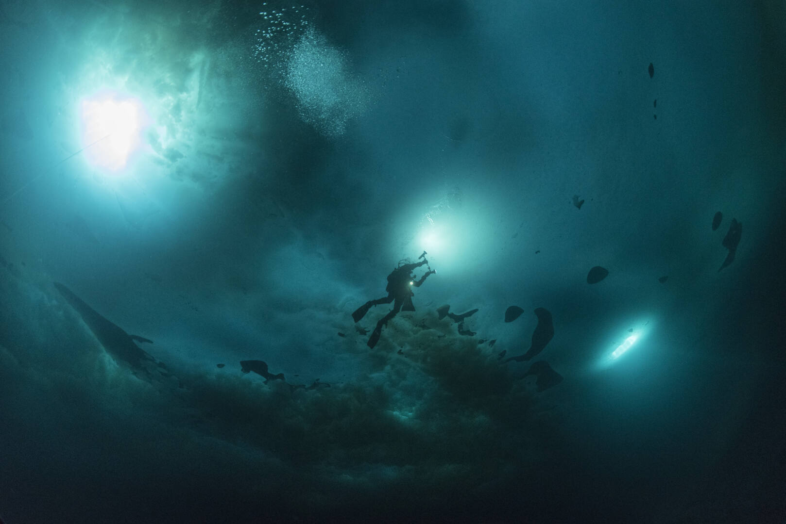 arctic blues champs libres