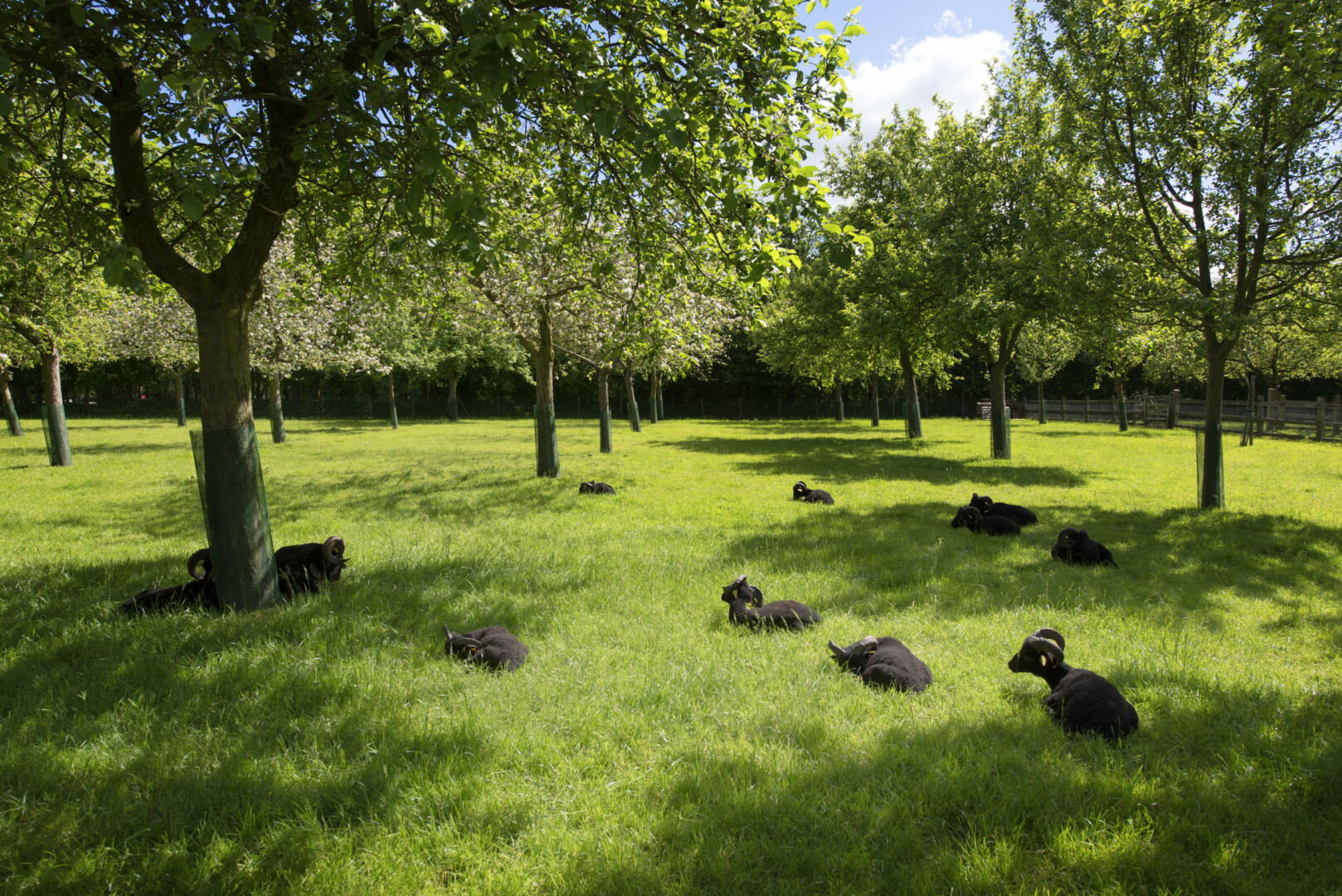 rennes métropole magazine