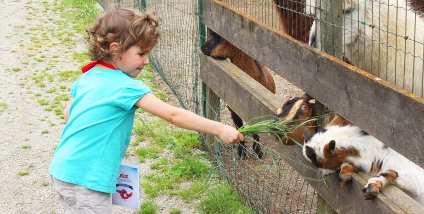 rennes métropole magazine