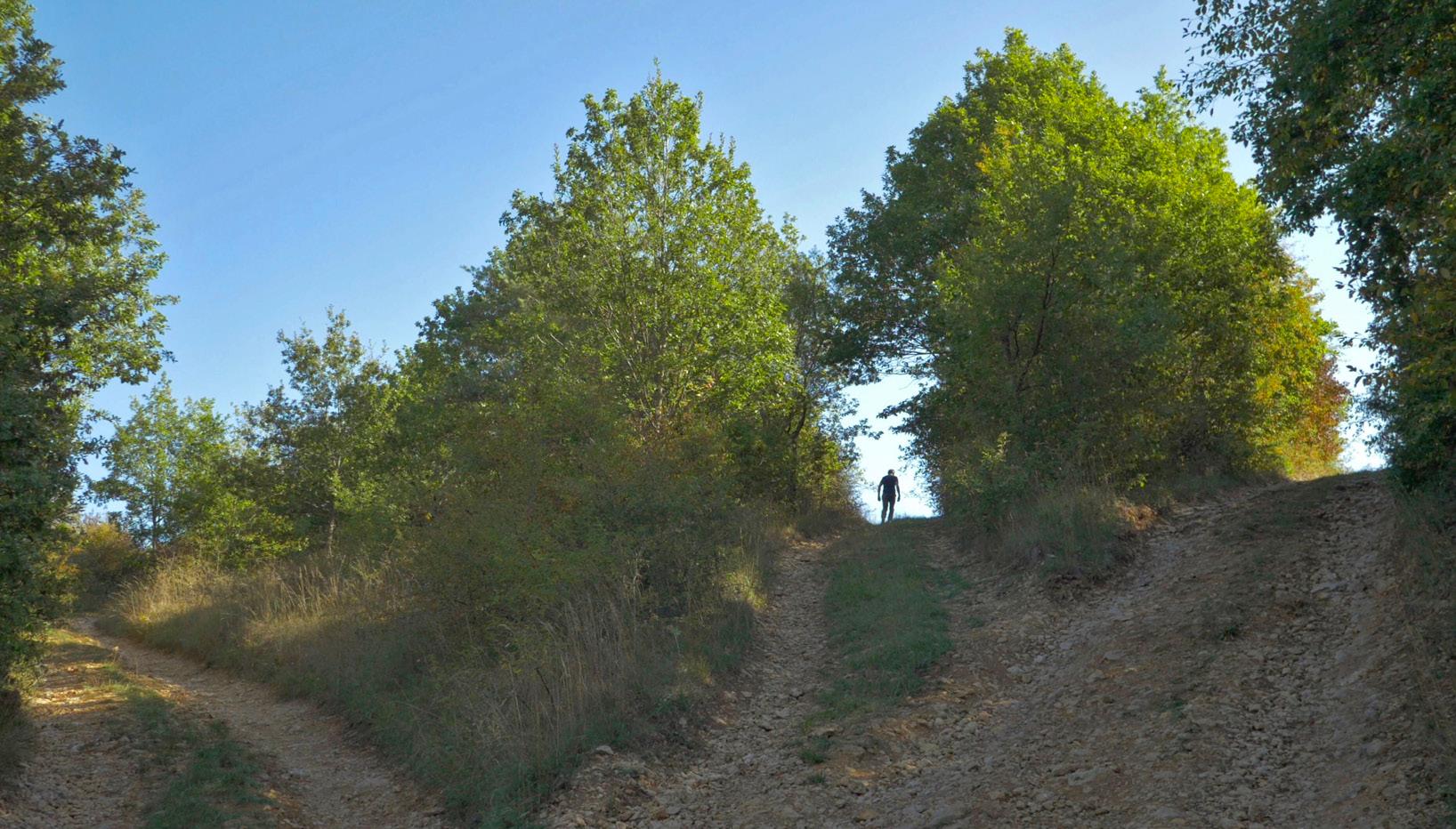 oodaaq pierre villemin