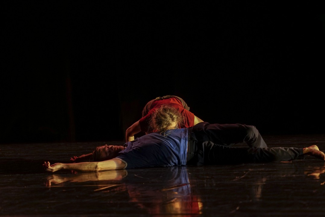 ambra senatora marc lacourt