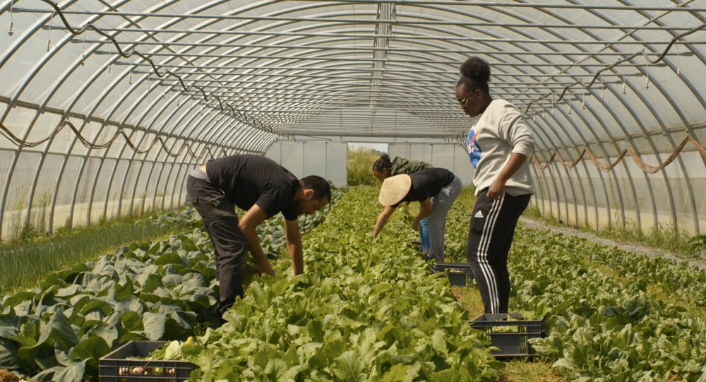 douce france geoffrey couanon