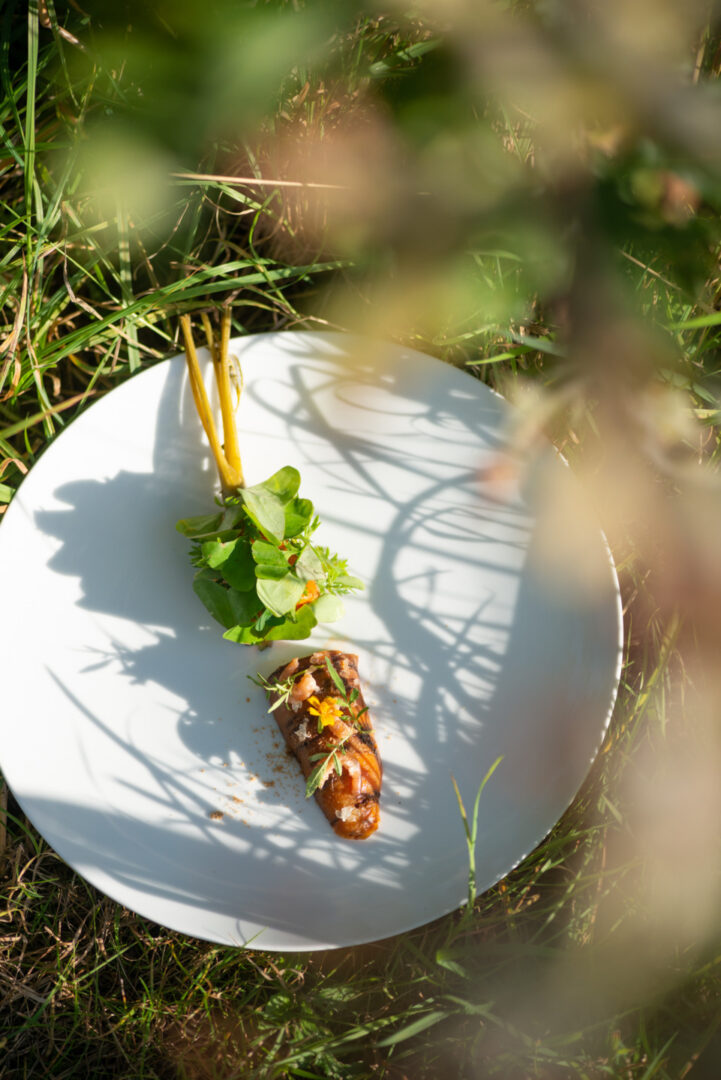 festival Goûts de rennes