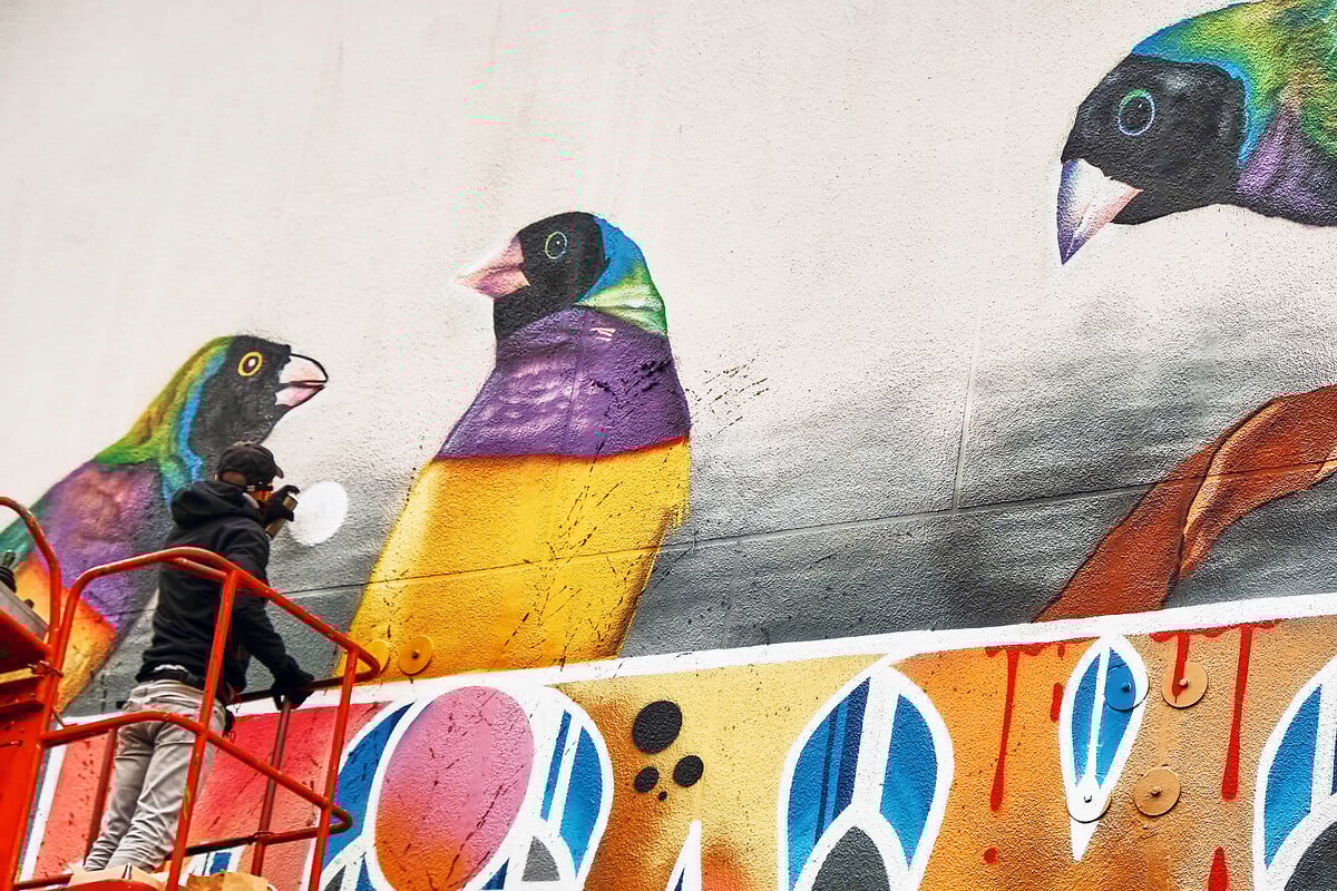 safari graffiti rennes