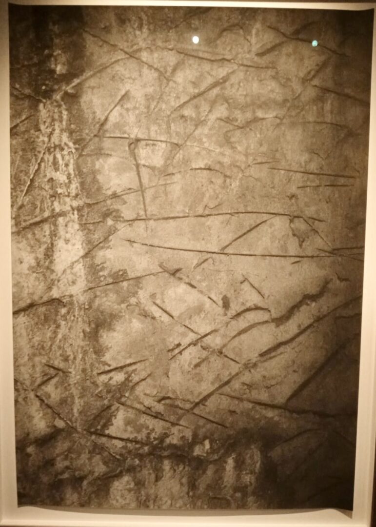 hôpital allemand Hautes solitudes